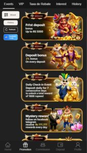 WGS456 Game – Complete Guide for Pakistani Players 3