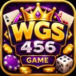WGS456 Game