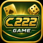 C222 Game